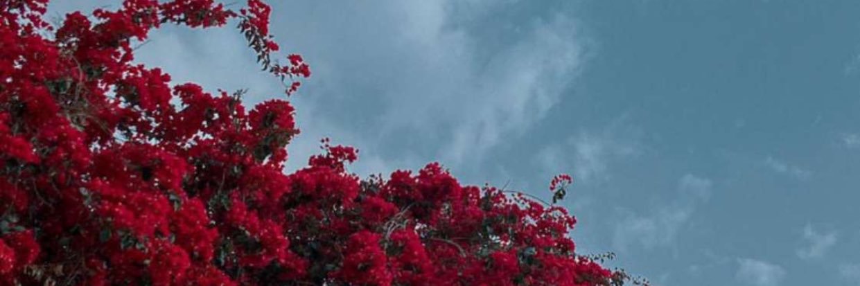 V_20xx's profile banner image
