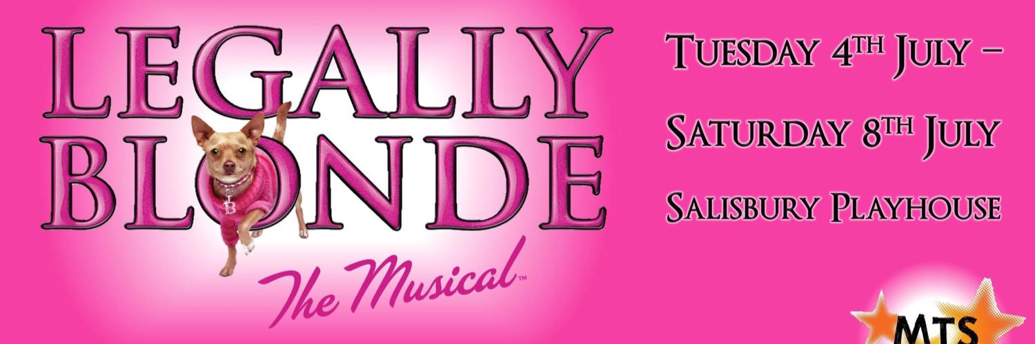 MTSalisbury's profile banner image