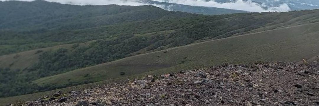 jmaan2's profile banner image