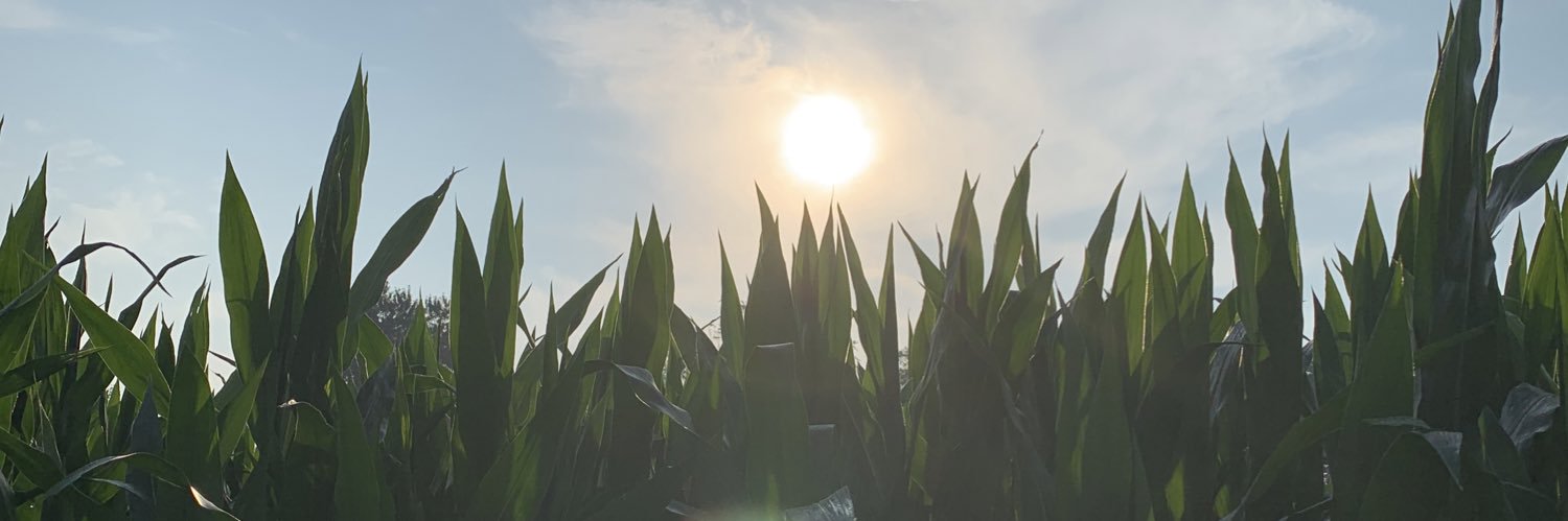 patzb20's profile banner image