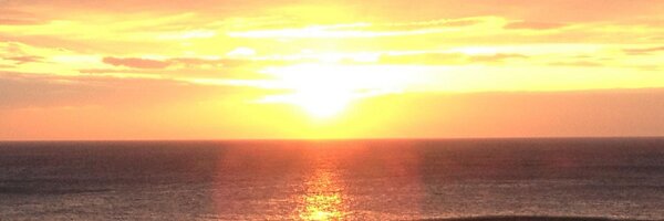 paddywillis Profile Banner