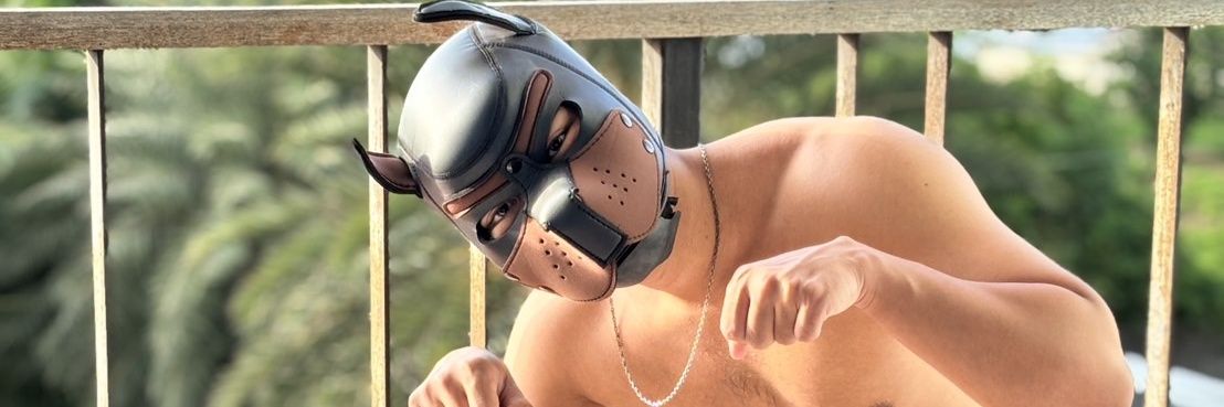 Topper_dog banner