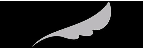 aray1793's profile banner image