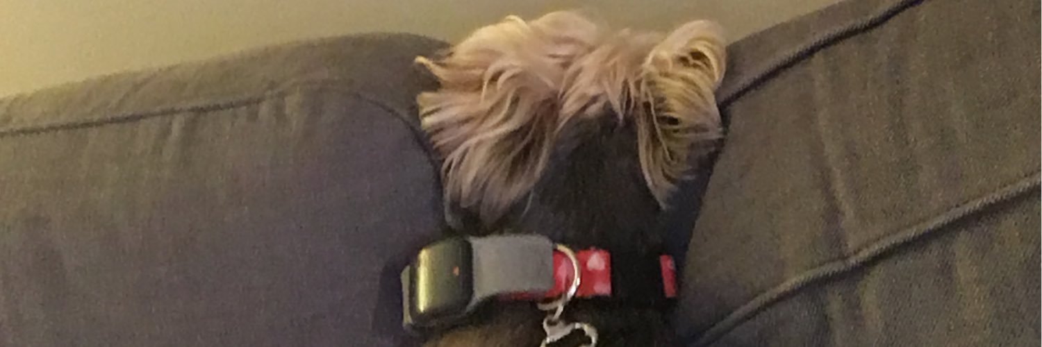 MandyOnTweet's profile banner image