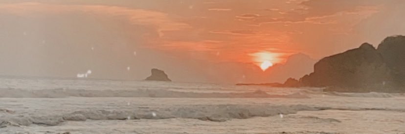 Paulina Gon banner