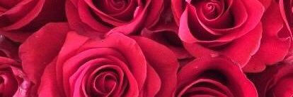 dk_tag_'s profile banner image