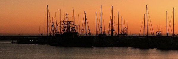 MisterGCoffee Profile Banner