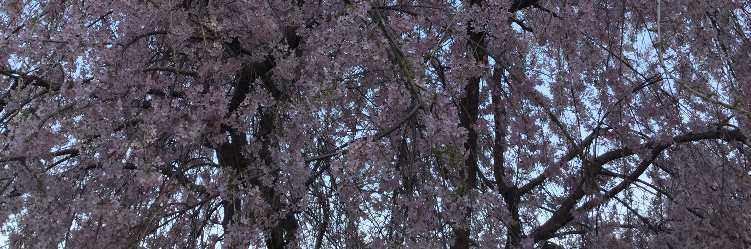 _f_shima's profile banner image