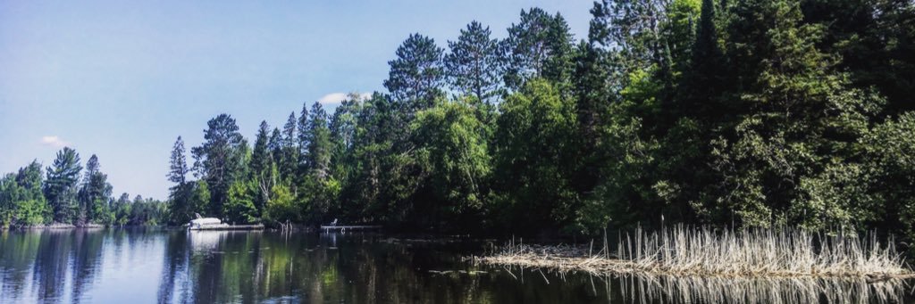 RachelHadges's profile banner image