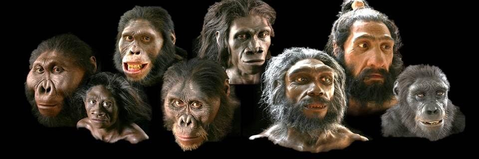 Human Origins at SI banner