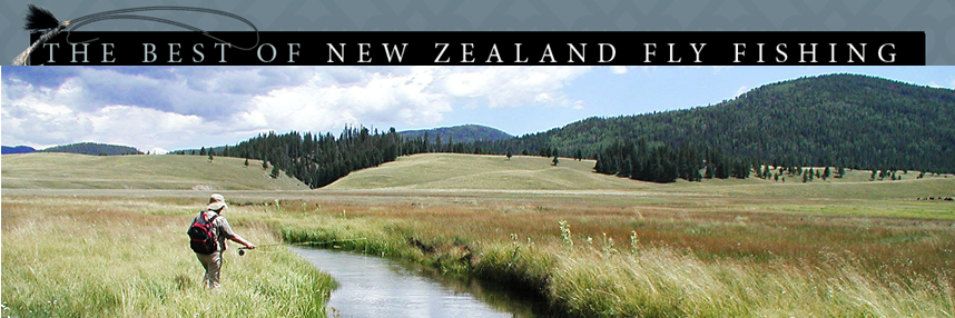 NZflyfishing's profile banner image