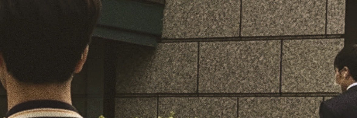 fern22Monkey's profile banner image
