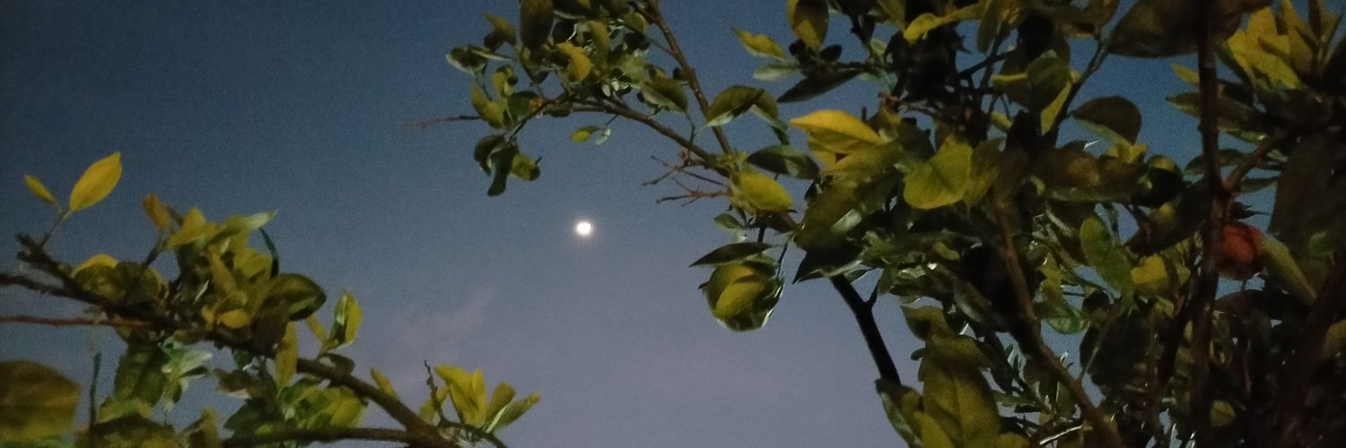 Grendelgado's profile banner image