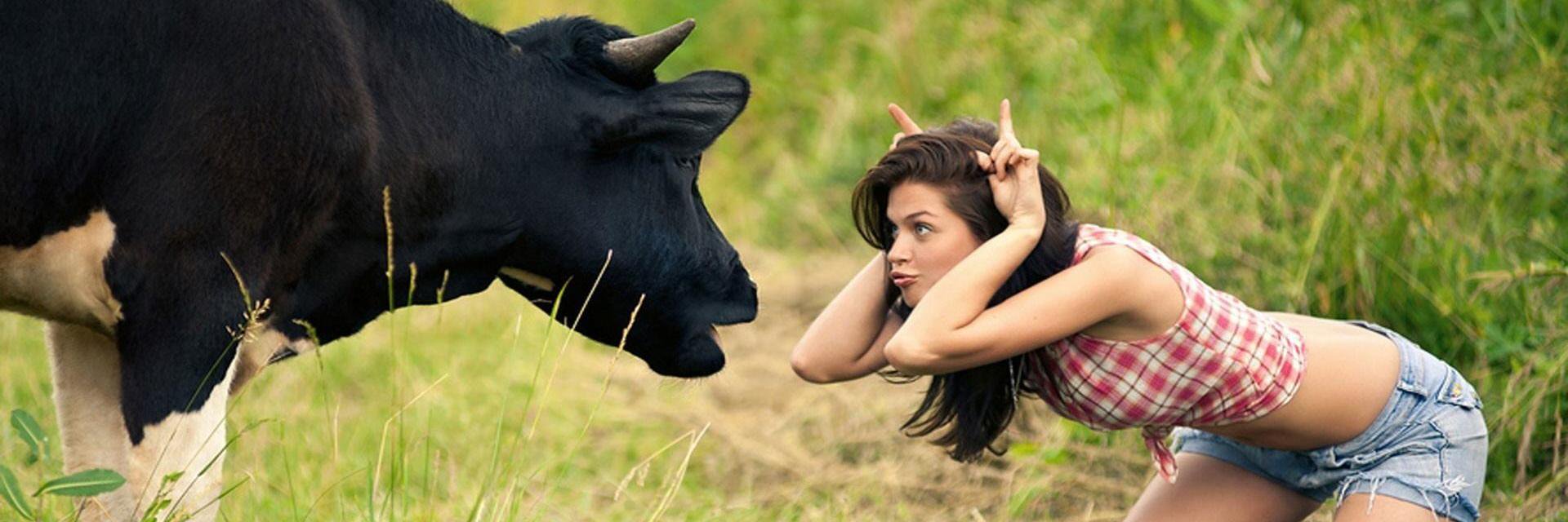 funny8950's profile banner image