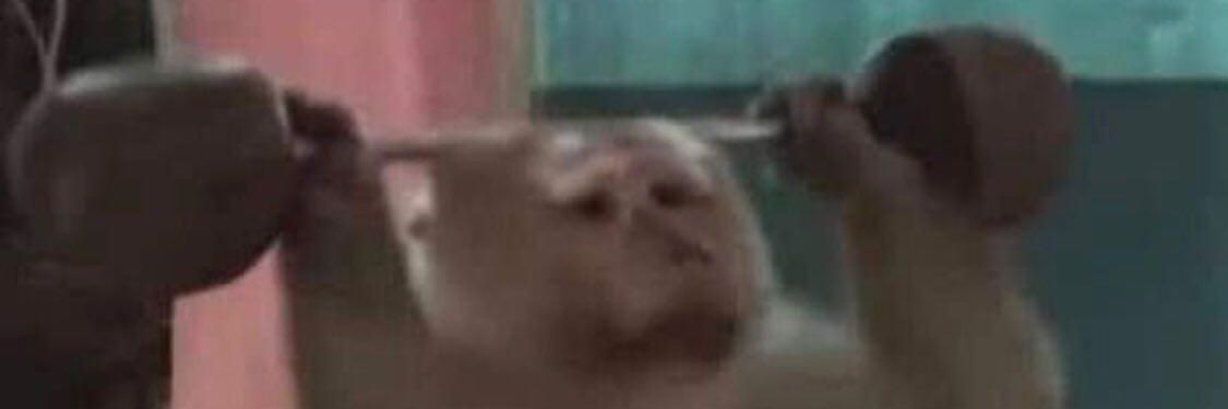 _bisneto_'s profile banner image
