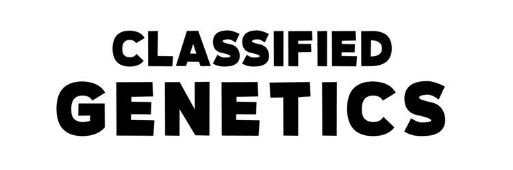 TheLifeof_Ky's profile banner image