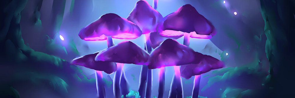 SpotKhalil's profile banner image