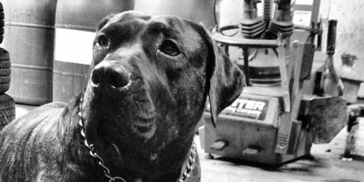 CHiTTYBBBB's profile banner image