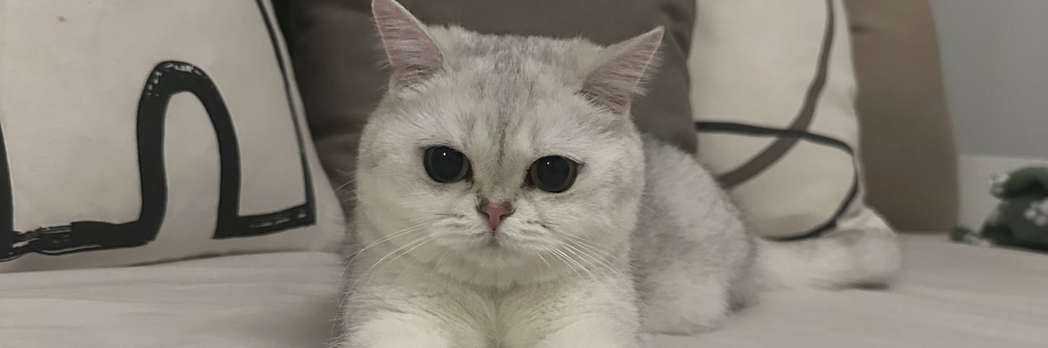 GeorgiaOReganx's profile banner image