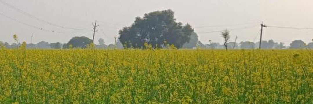speakupmen123's profile banner image