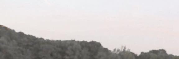 macihammock's profile banner image