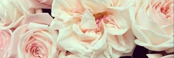 _infinikitty Profile Banner