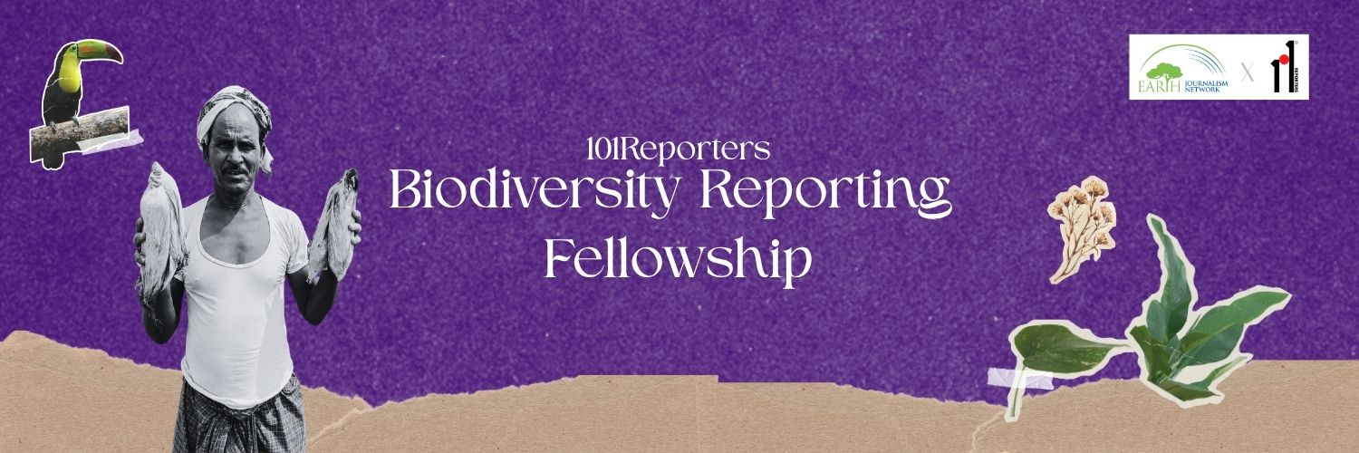101reporters's profile banner image