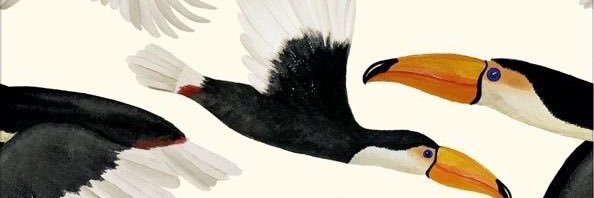 acikary's profile banner image