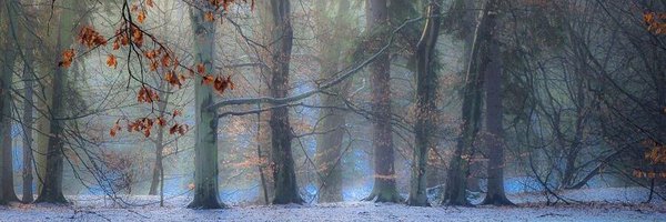 Art__Paintings Profile Banner
