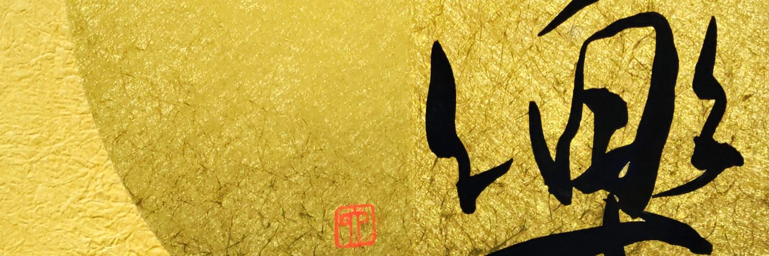 RikusekiN's profile banner image