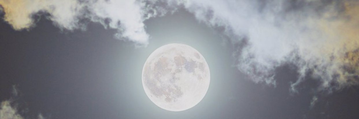 ChristineHarles's profile banner image