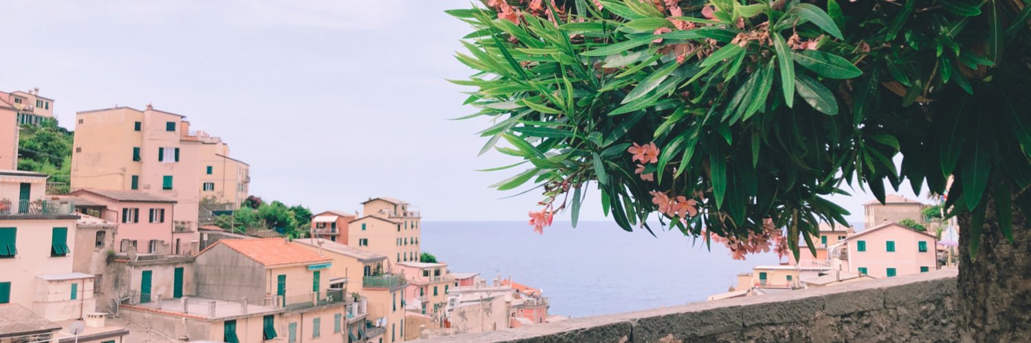 npetta_'s profile banner image