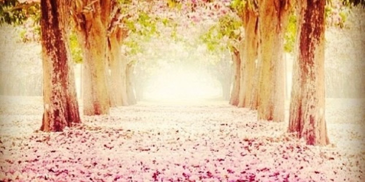 MissyT_M's profile banner image