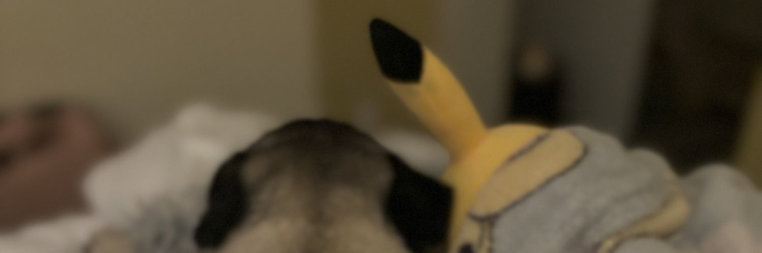 Peguinsrcute's profile banner image