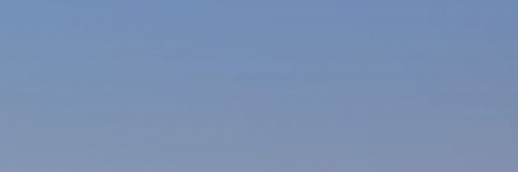 Driziah banner