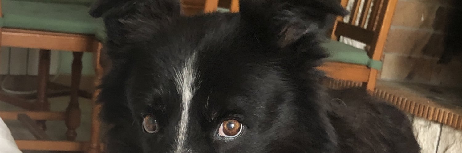 RosaOrts's profile banner image