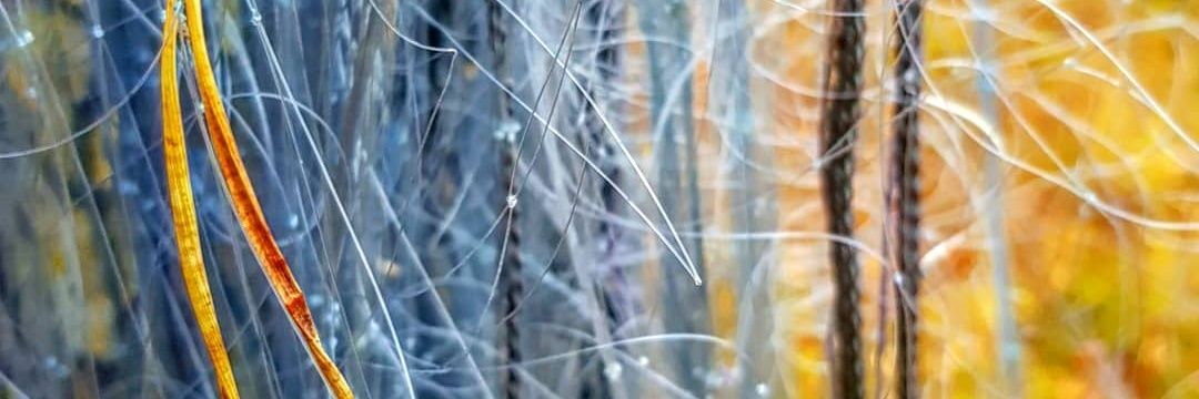 Anu K. Nousiainen banner