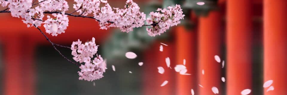 Smile2day7's profile banner image