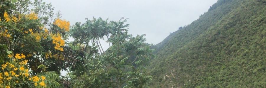 johanalvear1's profile banner image