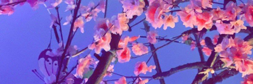 _jaz_t's profile banner image