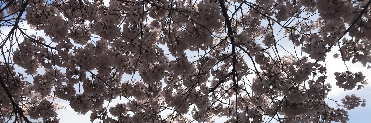 syd_exe's profile banner image