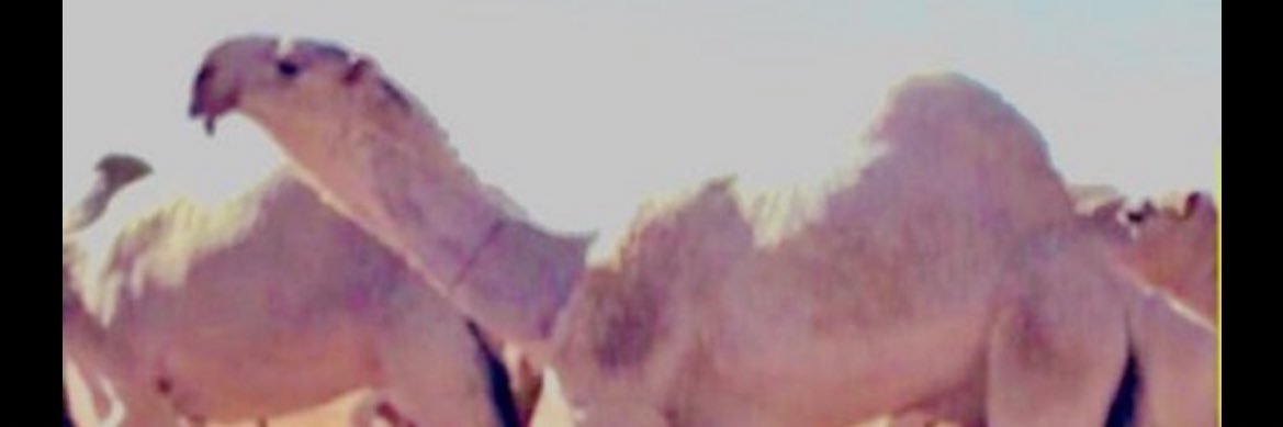 Baan7322's profile banner image
