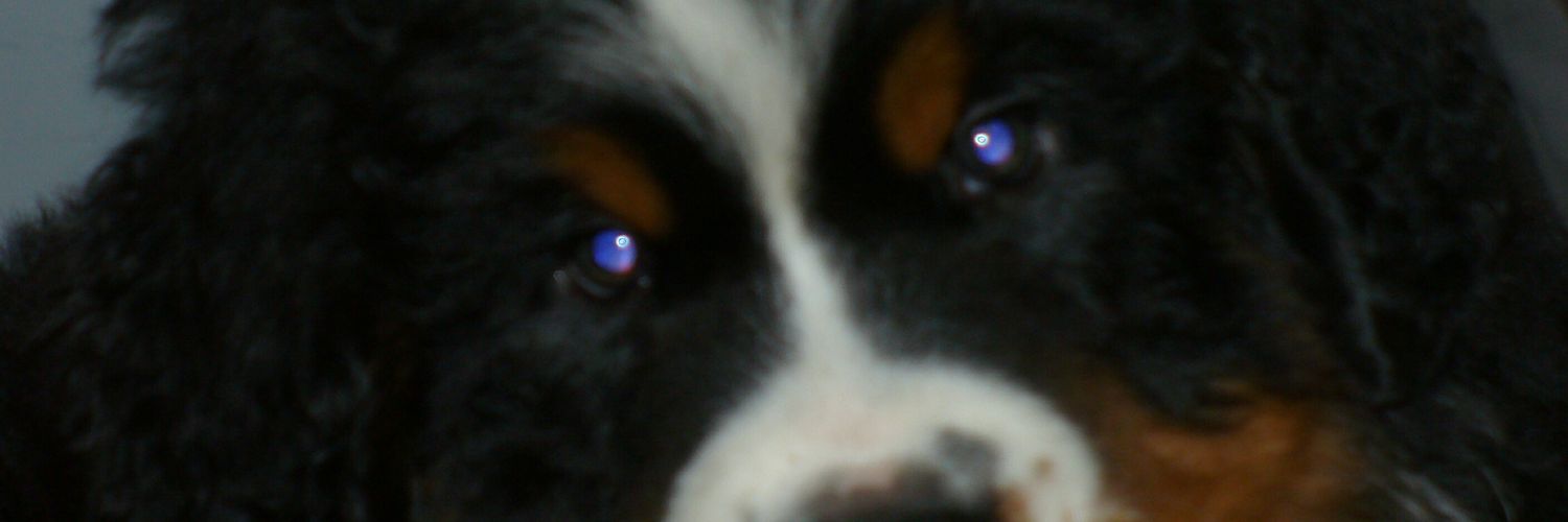 JacquesVerge's profile banner image
