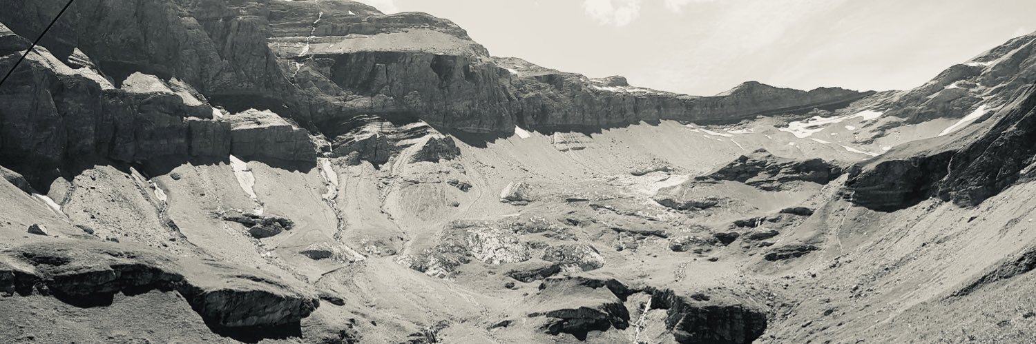 Polexia Muller banner