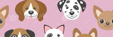 ArianeHalada's profile banner image