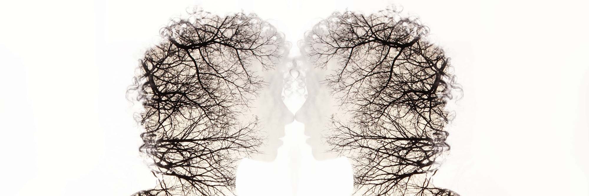 Whitney_Myer's profile banner image