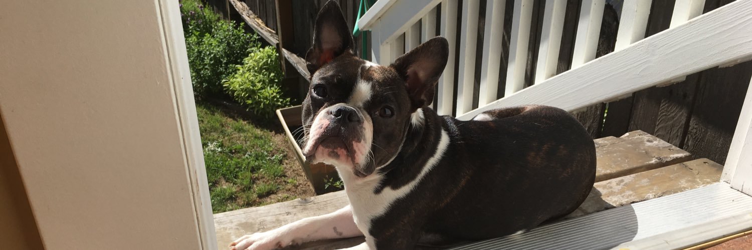 mitchel lewis banner