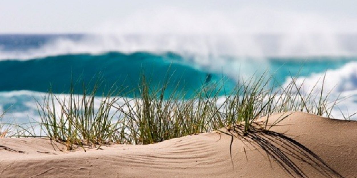 Amanda Garland banner