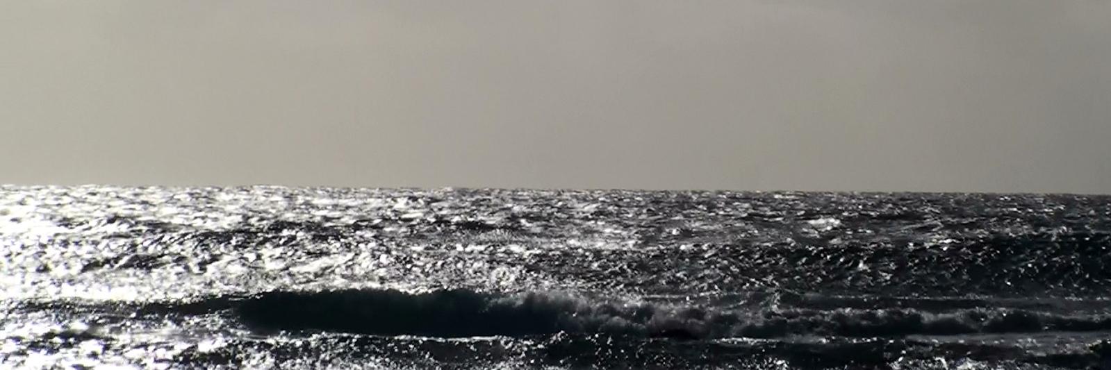 Elodie Toustou banner