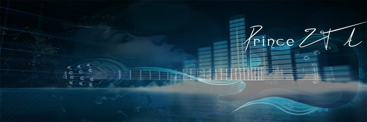 PrinceZTA's profile banner image